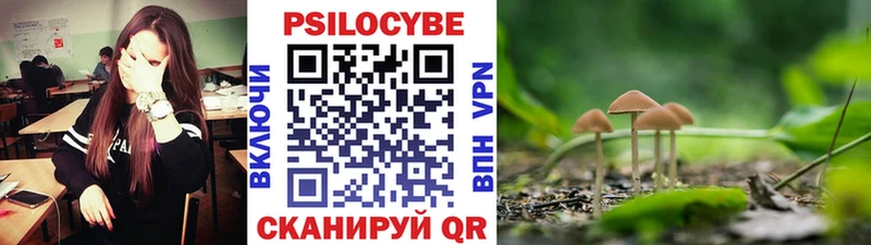 Галлюциногенные грибы Cubensis Ленинск