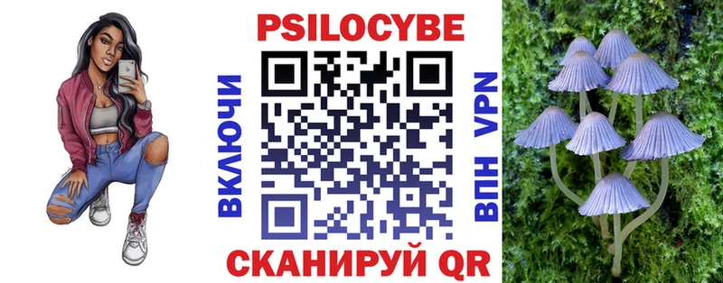Галлюциногенные грибы Psilocybe  где купить   Ленинск 